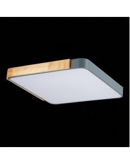 Накладной светильник Evoluce SLE201272-01-foto8