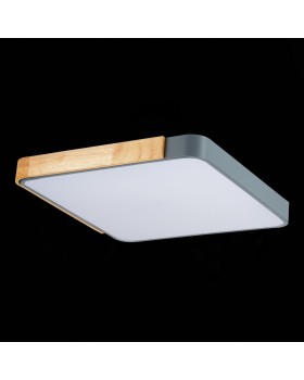 Накладной светильник Evoluce SLE201272-01-foto8