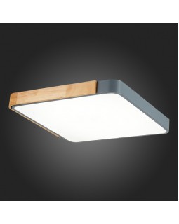 Накладной светильник Evoluce SLE201272-01-foto9