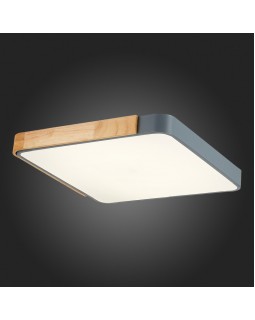 Накладной светильник Evoluce SLE201272-01-foto10