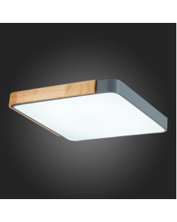 Накладной светильник Evoluce SLE201272-01-foto11