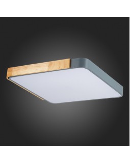 Накладной светильник Evoluce SLE201272-01-foto12