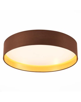 Накладной светильник Evoluce SLE300592-01-foto2