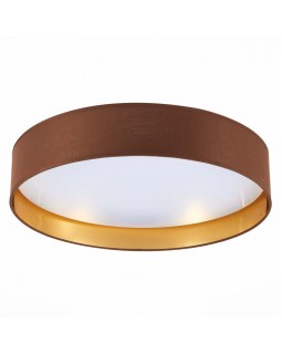 Накладной светильник Evoluce SLE300592-01-foto4