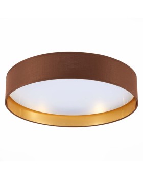 Накладной светильник Evoluce SLE300592-01-foto4