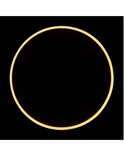 Бра Freya FR6002WL-L13B-foto17