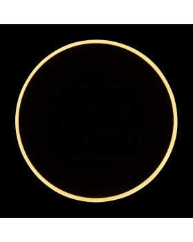 Бра Freya FR6002WL-L13B-foto17