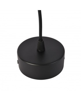 Подвесной светильник Favourite 3077-1P-foto3