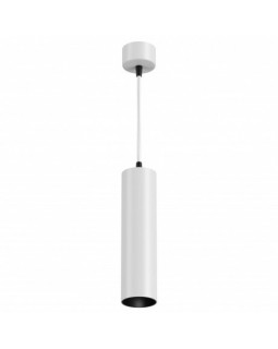 Подвесной светильник Maytoni Technical P072PL-L12W4K-foto2