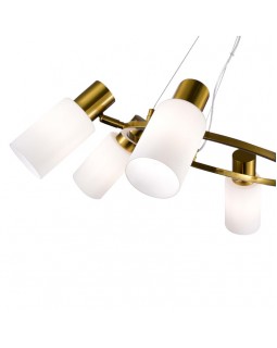 Подвесная люстра Evoluce SLE1139-303-06-foto4