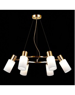 Подвесная люстра Evoluce SLE1139-303-06-foto5