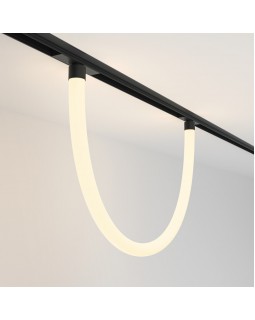 Светильник на шине Maytoni Technical TR101-2-20W3K-B-foto2