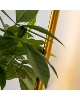 Бра Favourite 4050-1W-foto10