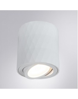 Накладной светильник ARTE Lamp A5559PL-1WH-foto2