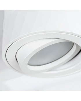 Накладной светильник ARTE Lamp A5559PL-1WH-foto3