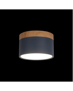 Детский светильник LOFT IT 10162 Blue-foto2