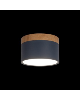 Детский светильник LOFT IT 10162 Blue-foto2