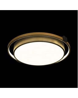 Накладной светильник LOFT IT 10170-foto2