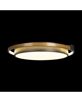 Накладной светильник LOFT IT 10170-foto4