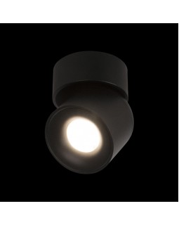 Накладной светильник LOFT IT 10180 Black-foto2