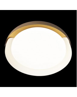 Накладной светильник LOFT IT 10198 White-foto6