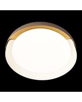 Накладной светильник LOFT IT 10198 White-foto6