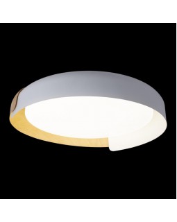 Накладной светильник LOFT IT 10198 White-foto7