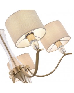 Подвесная люстра Evoluce SLE1126-203-05-foto3