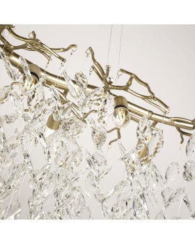 Подвесная люстра Favourite 3056-10P-foto4