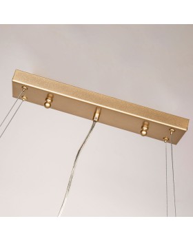 Подвесная люстра Favourite 3056-10P-foto5