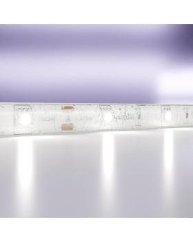 Лента Maytoni Technical 10165-foto2