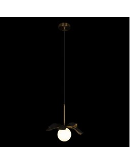 Подвесной светильник LOFT IT 10213/A Black-foto2