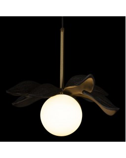 Подвесной светильник LOFT IT 10213/A Black-foto4