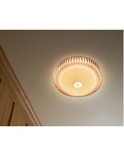 Накладной светильник Ambrella Light FF97-foto7