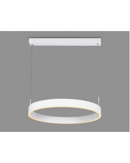 Подвесной светильник Ambrella Light FA6605-foto2