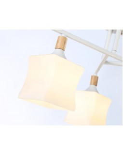 Накладной светильник Ambrella Light TR9488-foto4