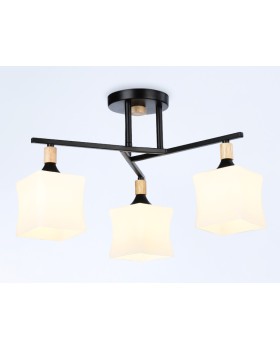 Накладной светильник Ambrella Light TR9493-foto2