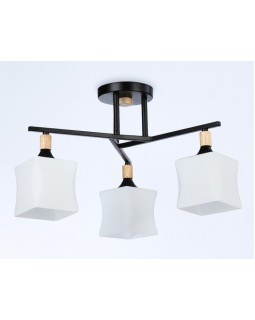 Накладной светильник Ambrella Light TR9493-foto3