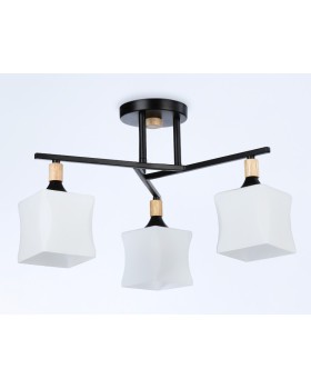 Накладной светильник Ambrella Light TR9493-foto3