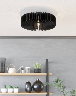 Накладной светильник EGLO 900831-foto2