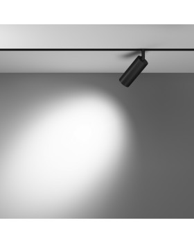 Светильник на шине Maytoni Technical TR032-4-12WTW-S-DD-B-foto3