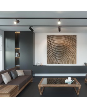 Светильник на шине Novotech 359162-foto3